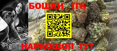 тгк Моздок