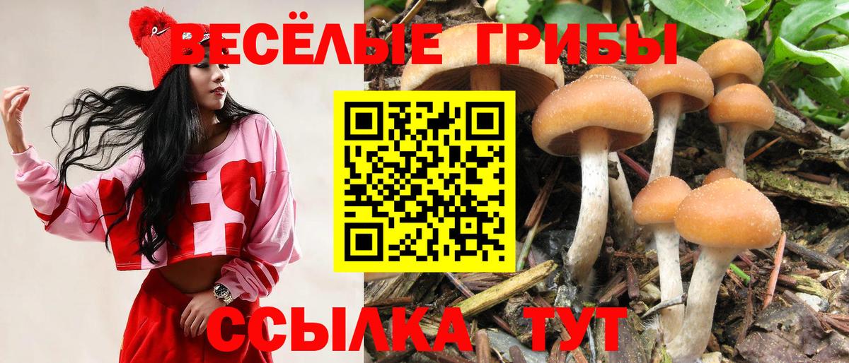 Псилоцибиновые грибы ЛСД Петровск